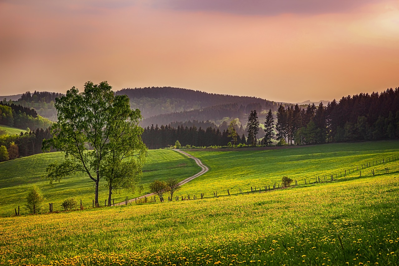 sauerland, germany, landscape-4126916.jpg